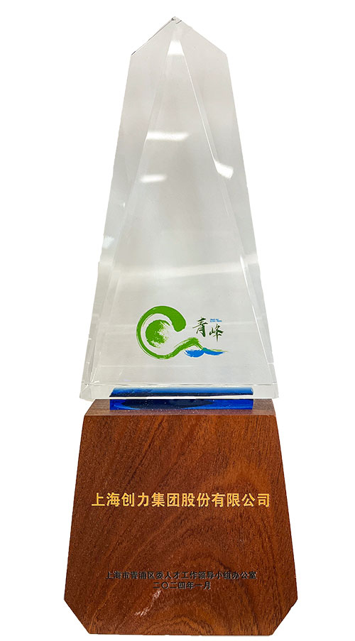 喜报！上海ag旗舰厅集团荣获2023年度青浦区百强优秀企业等三项大奖(图3)